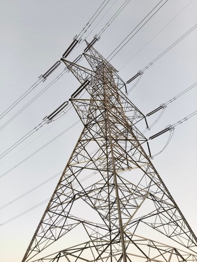nature, electric, wildlife